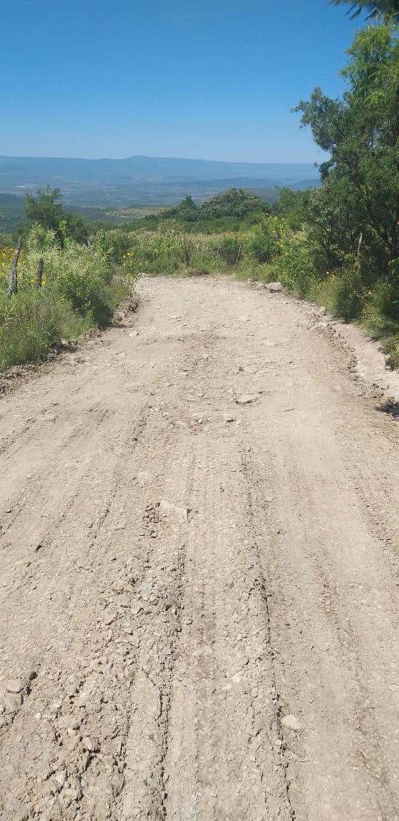 REHABILITAN CAMINO EN CIÉNEGA DE ROSAS.