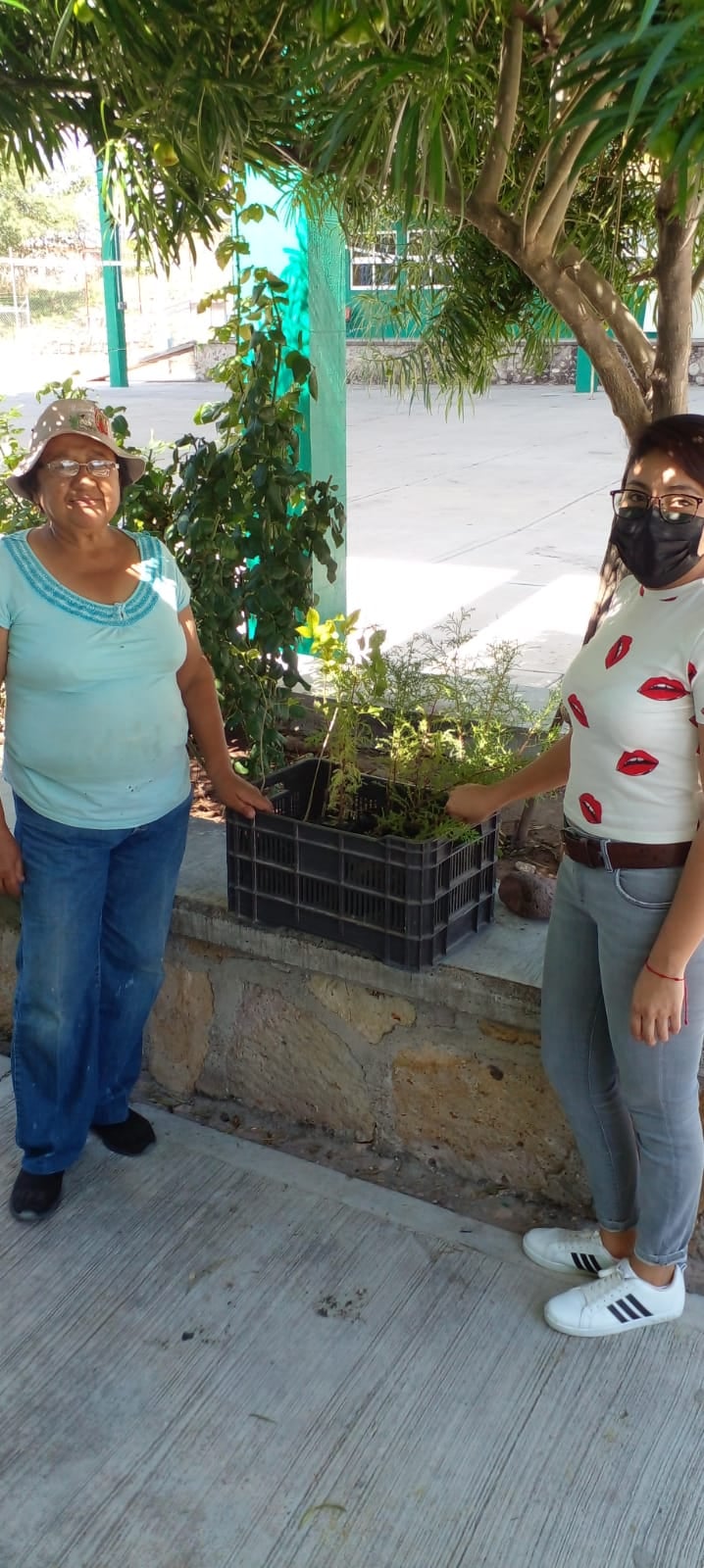 REGALAN ARBOLES PARA ESCUELAS DE APOZOL