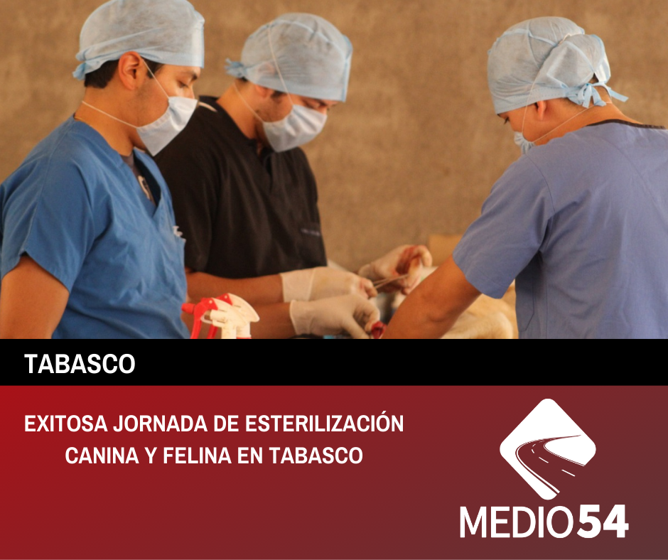 EXITOSA JORNADA DE ESTERILIZACIÓN CANINA Y FELINA EN TABASCO