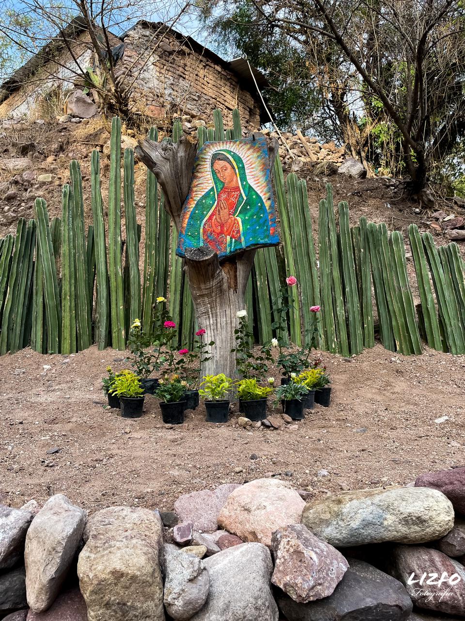 SE REALIZAN ACTIVIDADES CULTURALES EN EL ZAPOTILLO JALPA, ENCABEZADAS POR EL ARTISTA JUAN SOLIS.